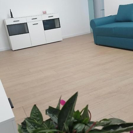 Locatia Perfecta In Centru Leilighet Cluj-Napoca Eksteriør bilde