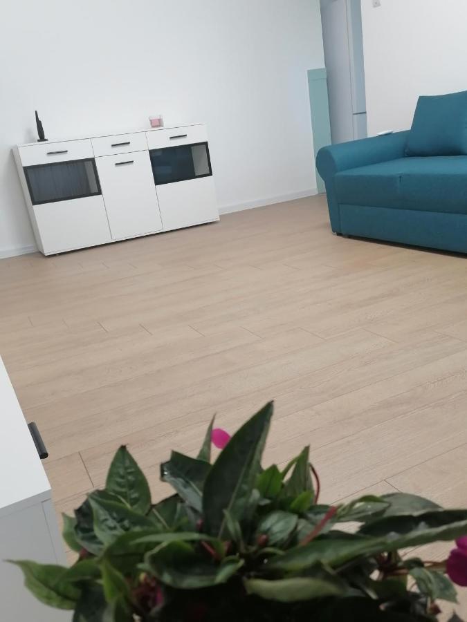Locatia Perfecta In Centru Leilighet Cluj-Napoca Eksteriør bilde